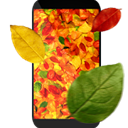 Autumn Leaves 3D Live Wallpaper