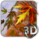 Autumn Leaves in HD Gyro 3D
