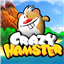 Crazy Hamster