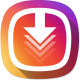 Mass Instagram Video Downloader