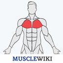 MuscleWiki