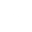 SerpApi