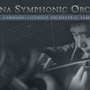 Sonatina Symphonic Orchestra Module
